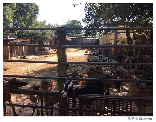 IMG_9535_副本.jpg IMG_9535_副本.jpg