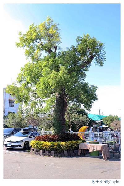 IMG_0028_副本.jpg IMG_0028_副本.jpg