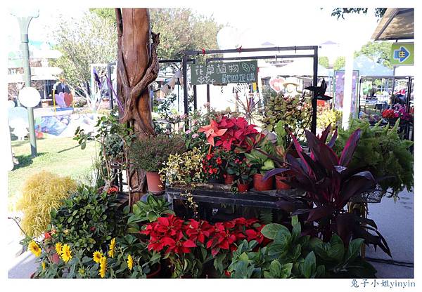 IMG_9911_副本.jpg IMG_9911_副本.jpg