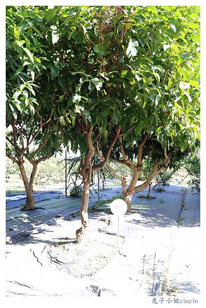 IMG_9953_副本.jpg IMG_9953_副本.jpg