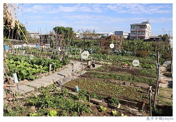 IMG_9952_副本.jpg IMG_9952_副本.jpg