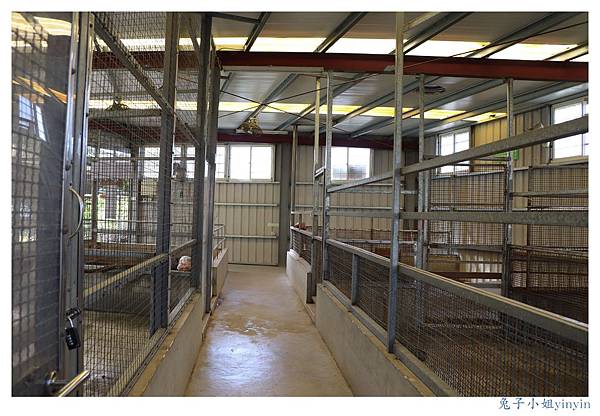 IMG_9972_副本.jpg IMG_9972_副本.jpg