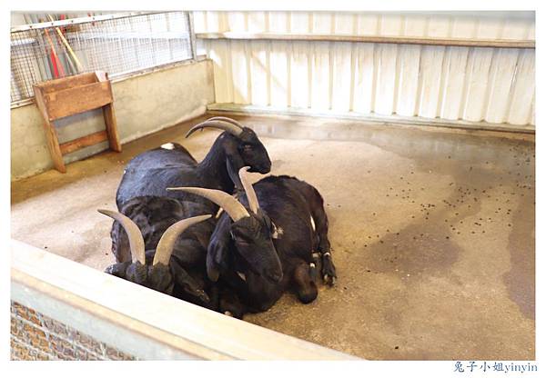 IMG_9974_副本.jpg IMG_9974_副本.jpg