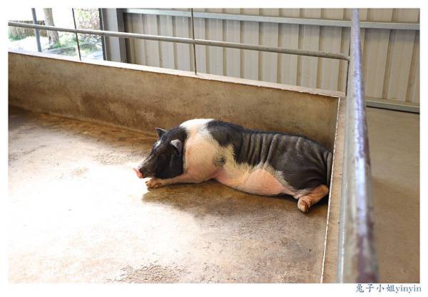 IMG_9976_副本.jpg IMG_9976_副本.jpg