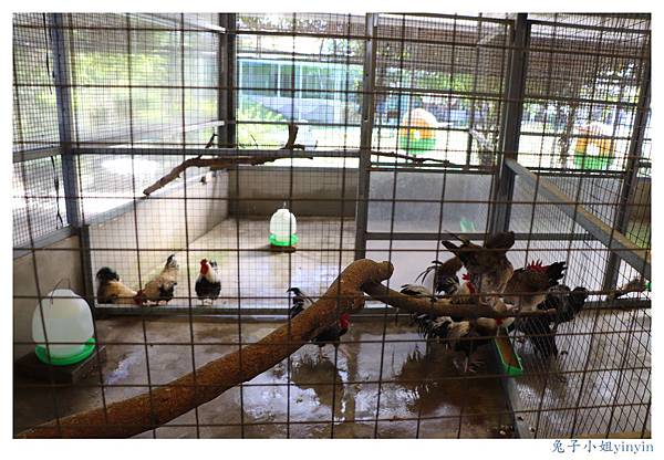 IMG_9973_副本.jpg IMG_9973_副本.jpg