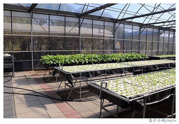 IMG_9981_副本.jpg IMG_9981_副本.jpg