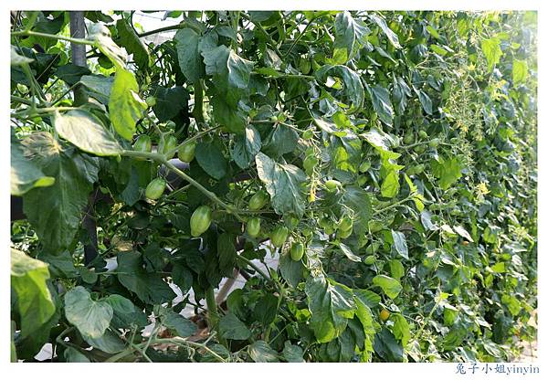 IMG_9983_副本.jpg IMG_9983_副本.jpg