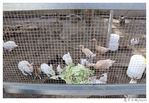 IMG_9991_副本.jpg IMG_9991_副本.jpg