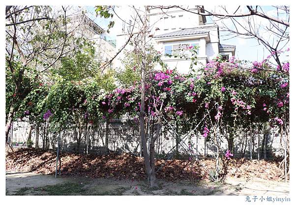 IMG_9986_副本.jpg IMG_9986_副本.jpg