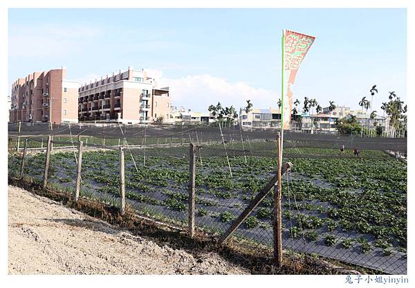 IMG_0038_副本.jpg IMG_0038_副本.jpg