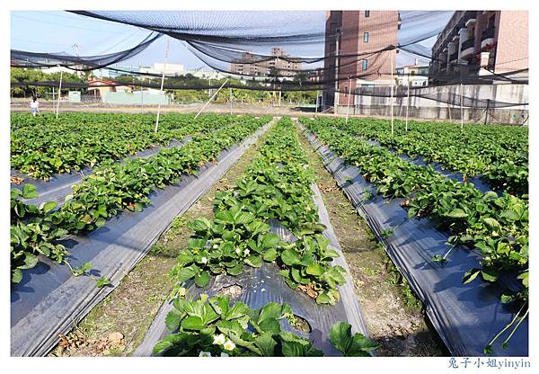 IMG_0041_副本.jpg IMG_0041_副本.jpg