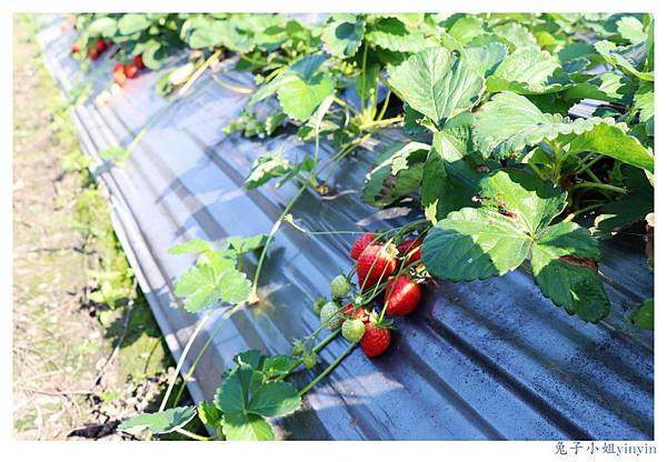 IMG_0045_副本.jpg IMG_0045_副本.jpg