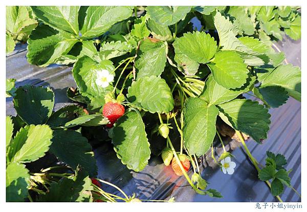 IMG_0046_副本.jpg IMG_0046_副本.jpg