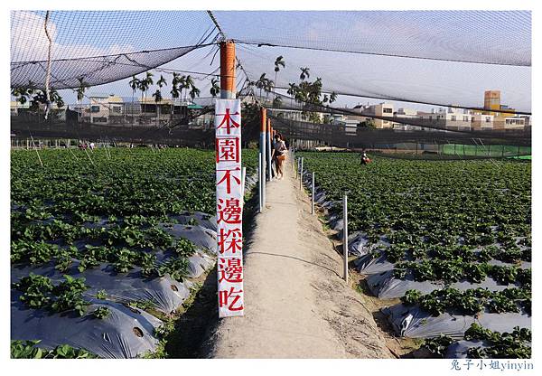 IMG_0048_副本.jpg IMG_0048_副本.jpg