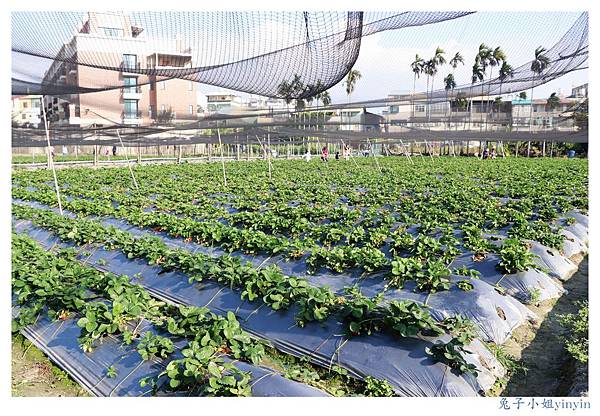 IMG_0050_副本.jpg IMG_0050_副本.jpg