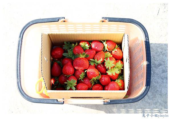 IMG_0055_副本.jpg IMG_0055_副本.jpg