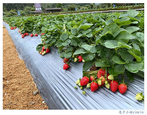 IMG_0354_副本.jpg IMG_0354_副本.jpg