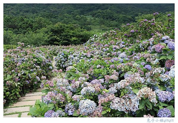 IMG_7776_副本.jpg IMG_7776_副本.jpg