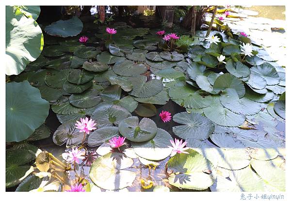 IMG_7789_副本.jpg IMG_7789_副本.jpg