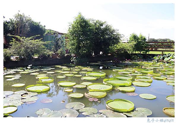 IMG_7793_副本.jpg IMG_7793_副本.jpg