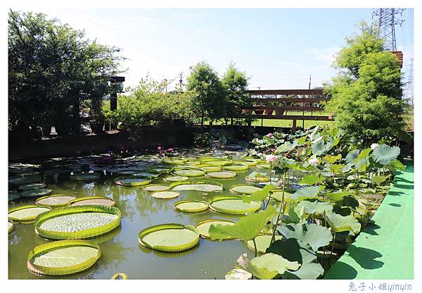 IMG_7799_副本.jpg IMG_7799_副本.jpg