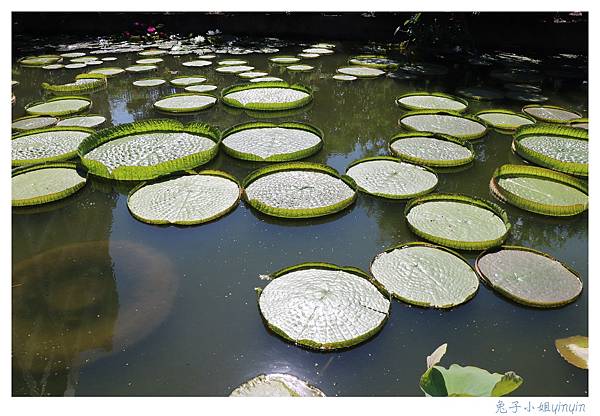 IMG_7801_副本.jpg IMG_7801_副本.jpg