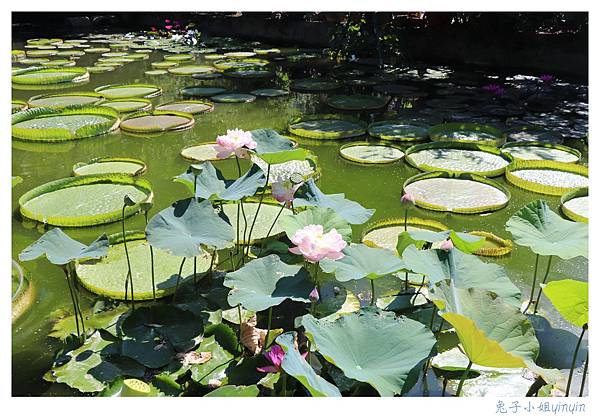 IMG_7802_副本.jpg IMG_7802_副本.jpg