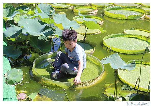 IMG_7832_副本.jpg IMG_7832_副本.jpg