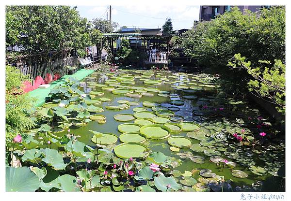 IMG_7894_副本.jpg IMG_7894_副本.jpg