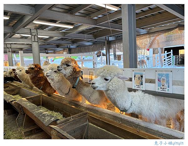 IMG_0978_副本.jpg IMG_0978_副本.jpg