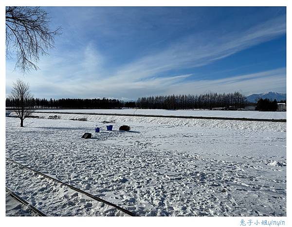 IMG_1243_副本.jpg IMG_1243_副本.jpg