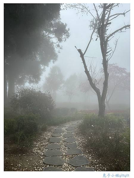 IMG_2965_副本.jpg IMG_2965_副本.jpg