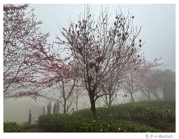 IMG_2978_副本.jpg IMG_2978_副本.jpg