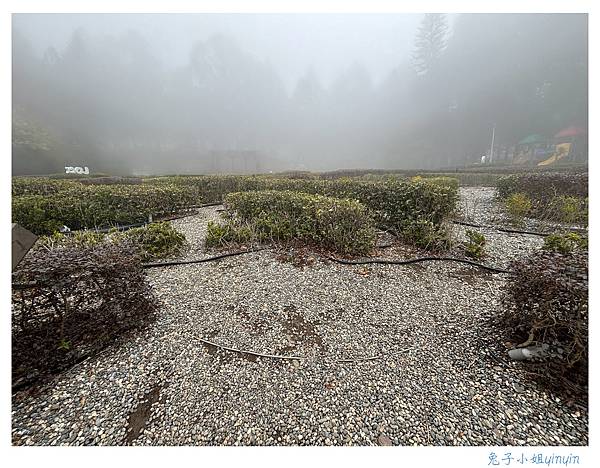 IMG_2988_副本.jpg IMG_2988_副本.jpg