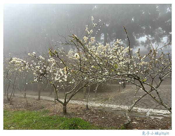 IMG_2995_副本.jpg IMG_2995_副本.jpg