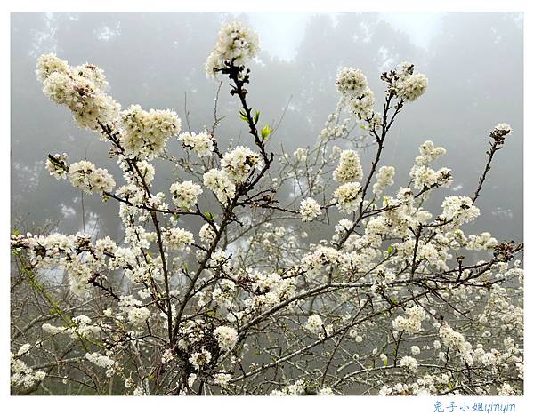 IMG_2997_副本.jpg IMG_2997_副本.jpg