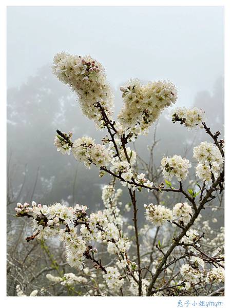 IMG_2999_副本.jpg IMG_2999_副本.jpg