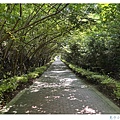 IMG_6593_副本.jpg