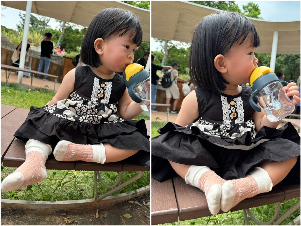 [育] 幼兒必備吸汗除臭襪.ᐟ 開箱 sNug 健康童襪 穿