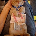 Cash_Cat[1]