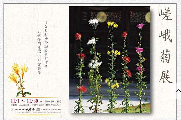 私房景點 大覺寺的風物詩 嵯峨菊展 Welcome Home 回 家大阪優質平價民宿 痞客邦