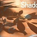 Ｓｈａｄｏｗ(影子)