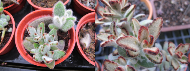 00050-11《20120428-何陽修 》 00050-11《20120428-何陽修 》