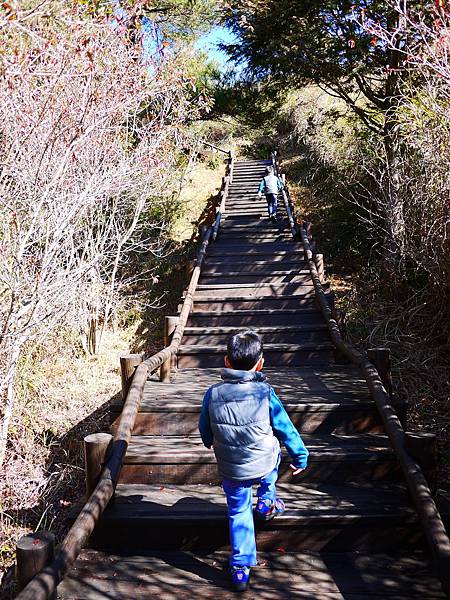 tn_P1260933.JPG