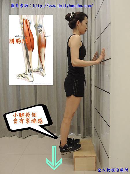 heel drop2 heel drop2