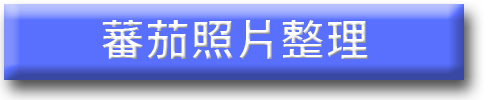 Date_標題文字Bar.png