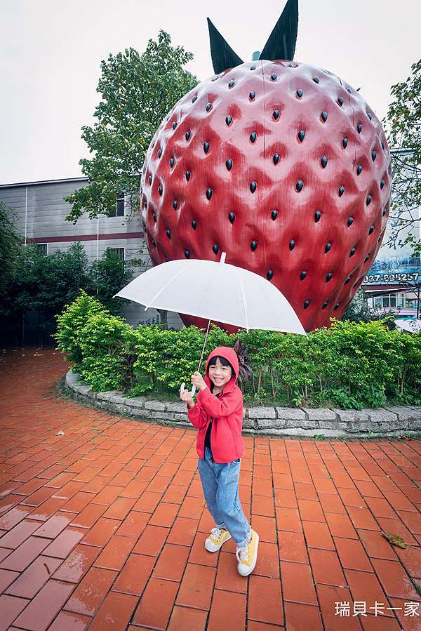 大湖採草莓 如何挑選草莓園 六合草莓農場高架種植 站著輕鬆採 下雨天也不怕弄髒 瑞貝卡一家親子生活 痞客邦