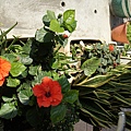 DSC03339.JPG