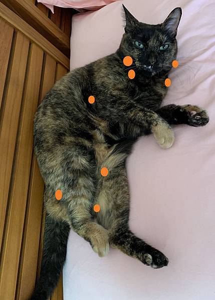 IMG_0079.JPG IMG_0079.JPG