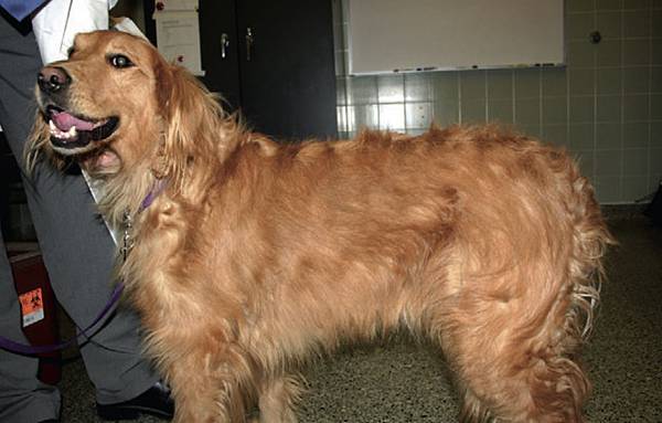 09FF6ED8-6EA6-4D3E-A345-B578E86ED075.jpeg 09FF6ED8-6EA6-4D3E-A345-B578E86ED075.jpeg